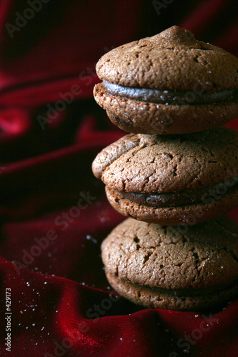 chocolate cookies - text