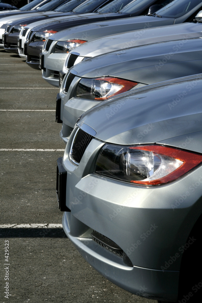Fototapeta premium dealership