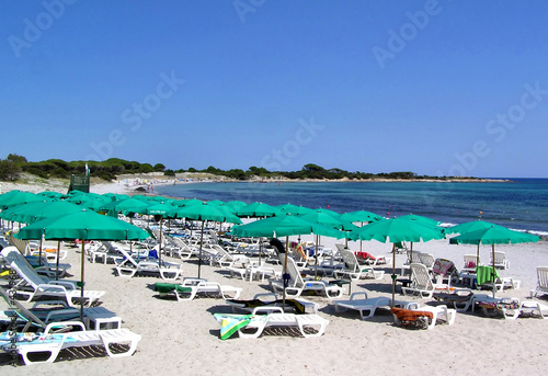seaside beach green umbrellas © Tupungato