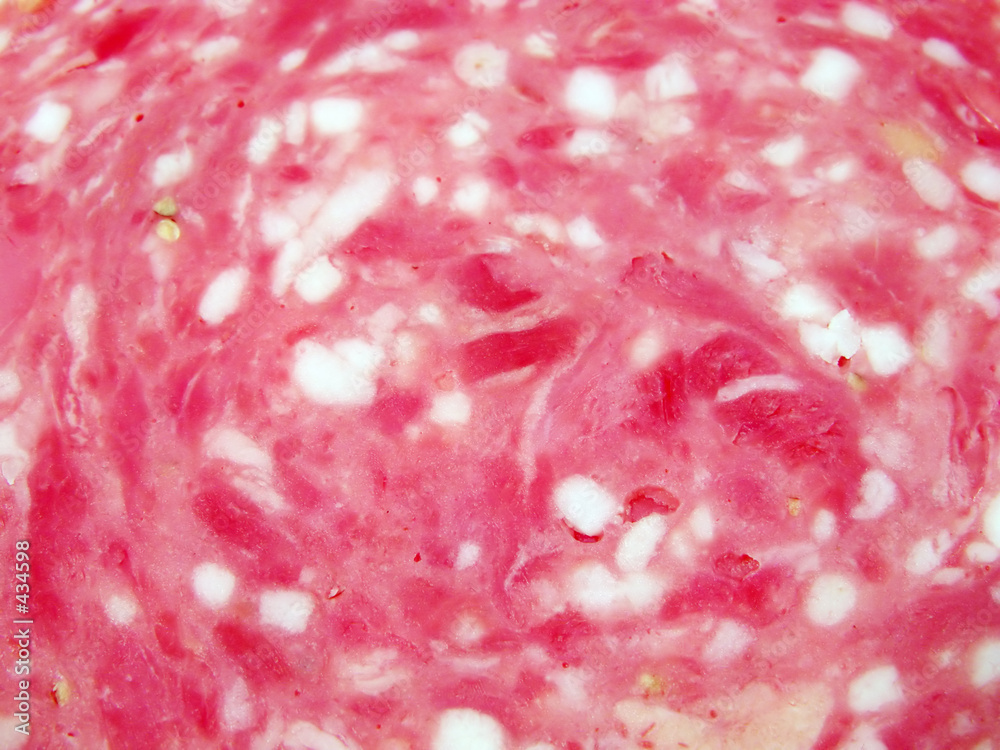 salami texture salami texture