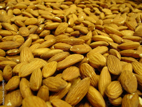 almond 2 photo