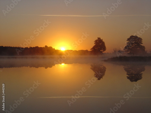 Fototapeta kuchenna gold morning