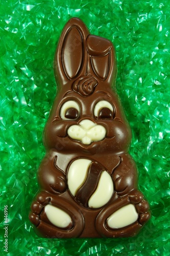 chocolate easter bunny