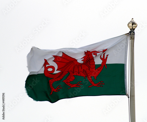 the welsh flag