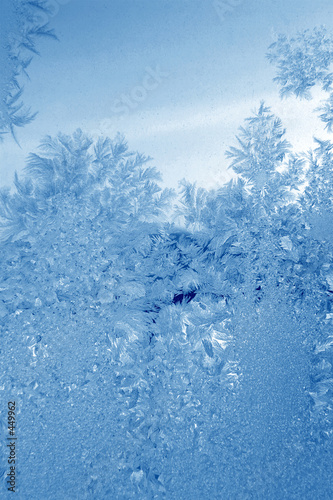 cyan frost photo