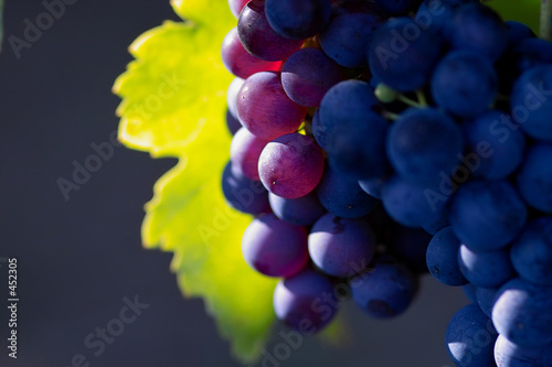 glowing dark wine grapes