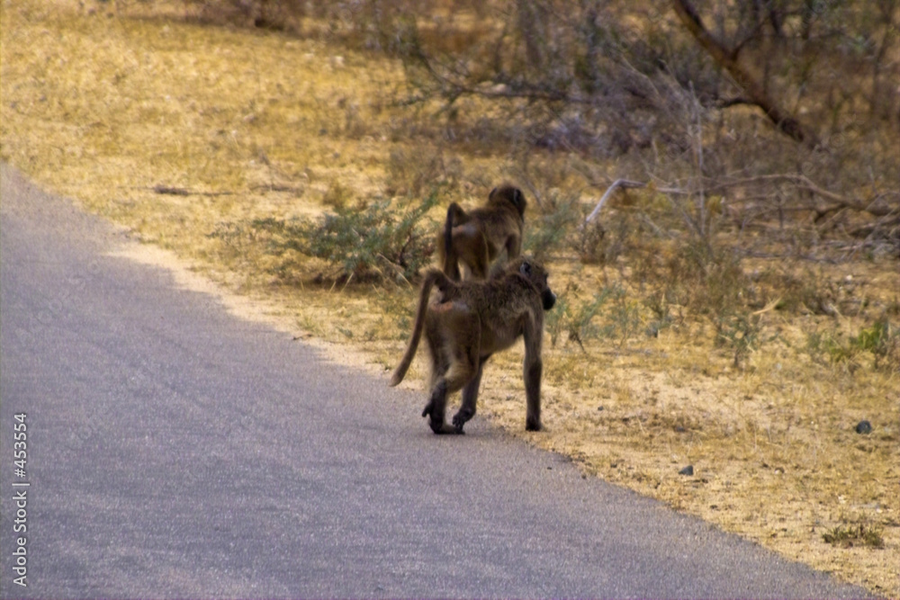 straßenüberquerung