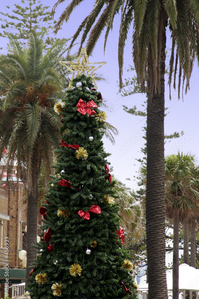 Φωτογραφία christmas