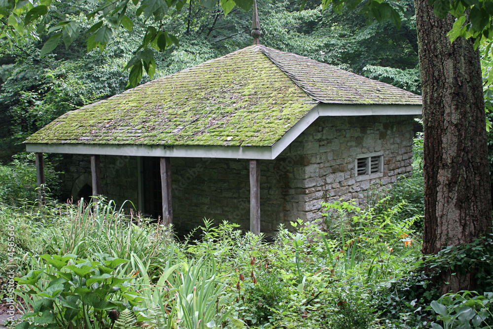 cabin in woods