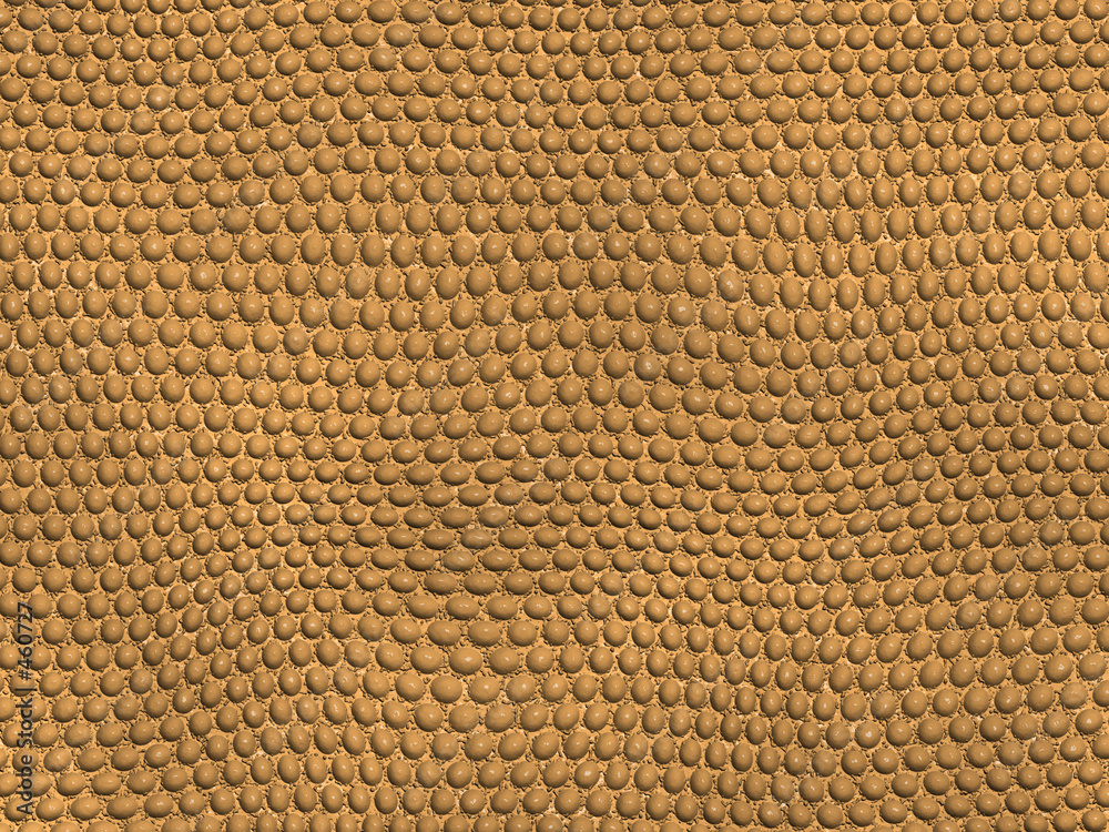 gila monster bumps gila monster bumps