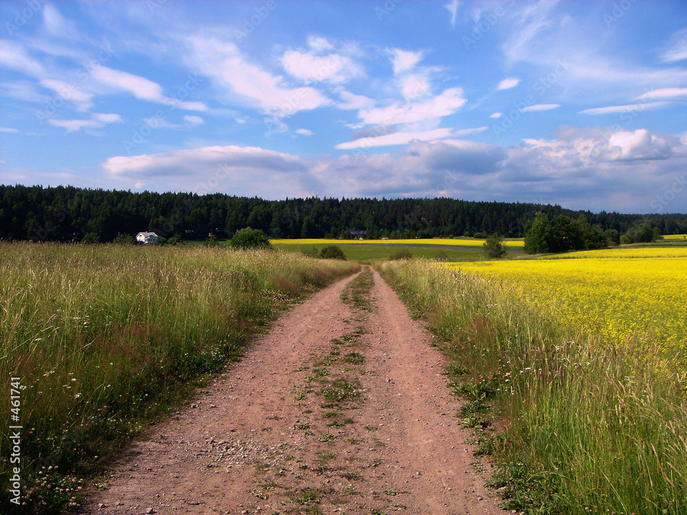 road, meadow, the sky and clouds