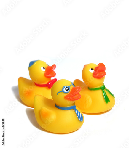 Photo family of toy ducks