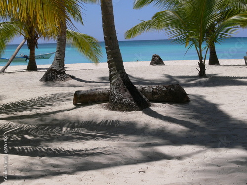 playa saona