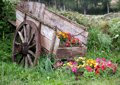 charette fleurie photo