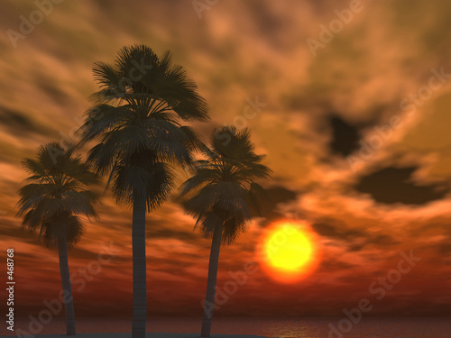 фотографія tropical sunset clouds and palms