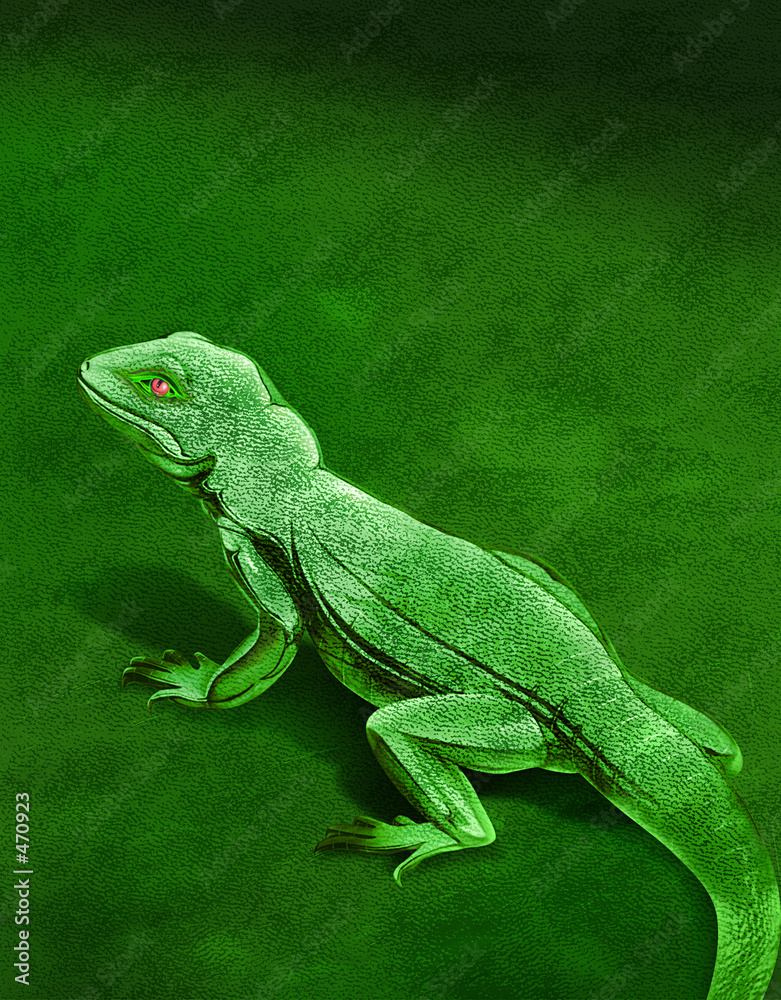 Fototapeta premium chameleon