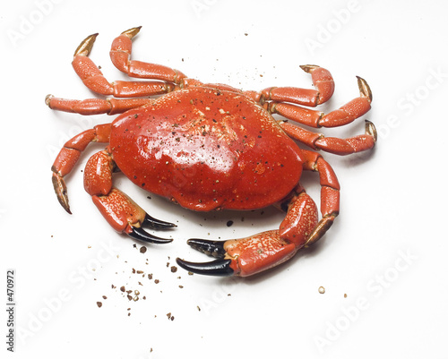 crab and pepper photo