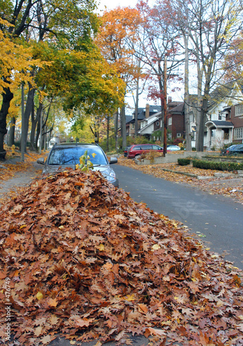 Photography fall street scene, pile of leaves