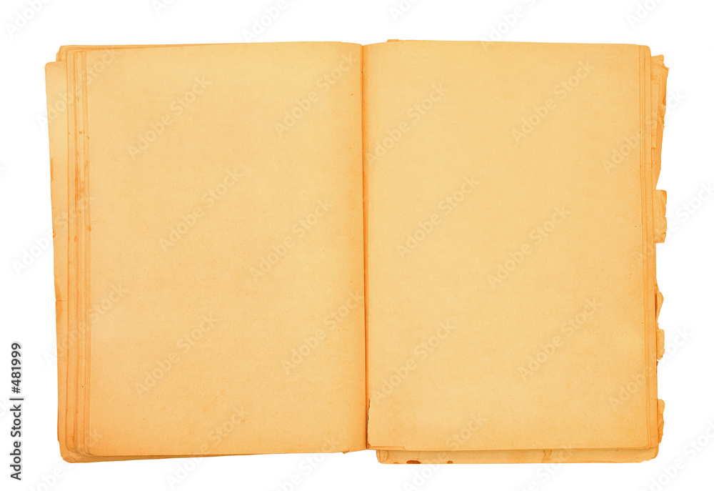 old book with blank pages