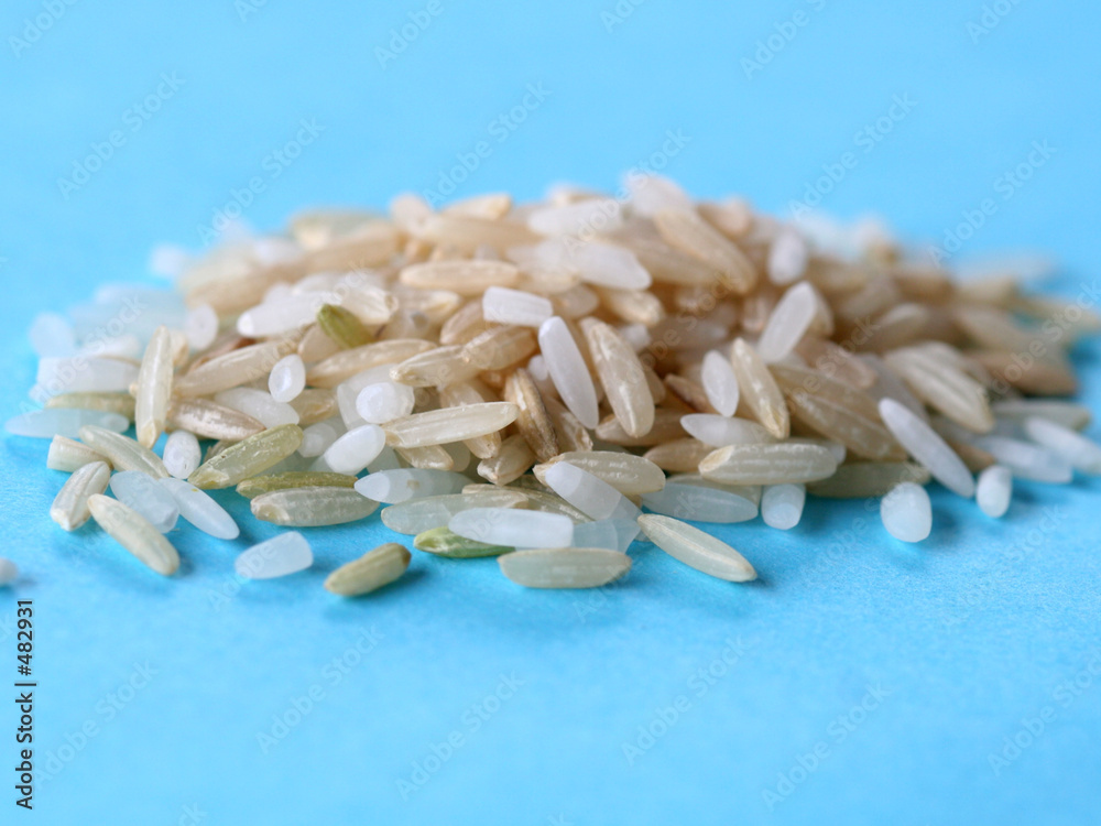 rice close up rice close up