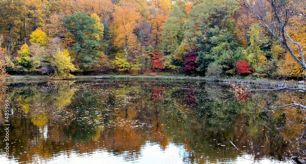 fall in westchester, ny fall in westchester, ny
