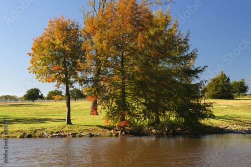 a quiet day in the park