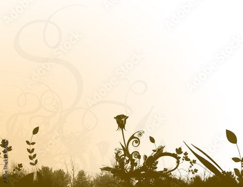 floral stationery