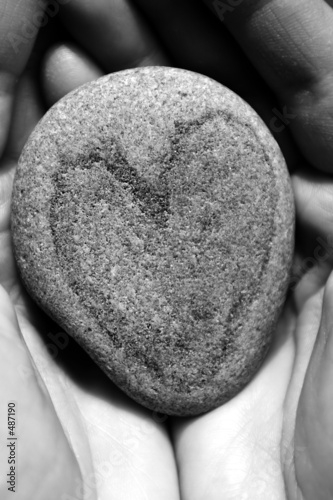 heart and hands