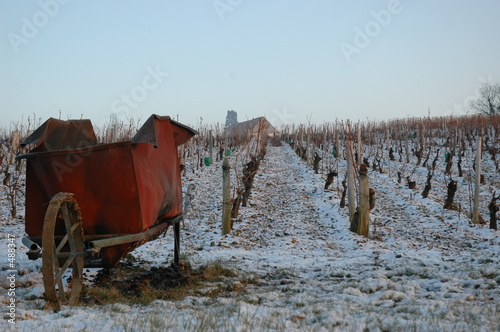 vignoble sancerrois photo