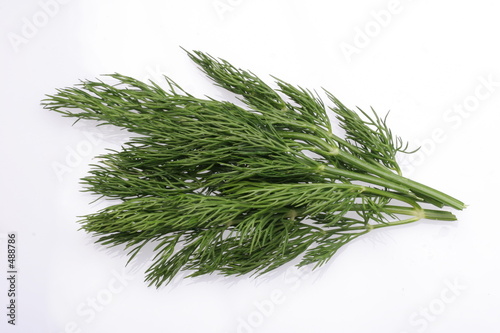 dill