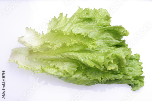 lettuce
