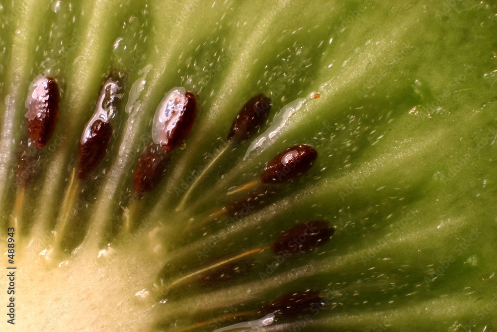 Valokuva kiwi macro