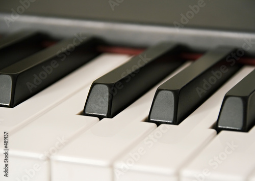 ebony and ivory