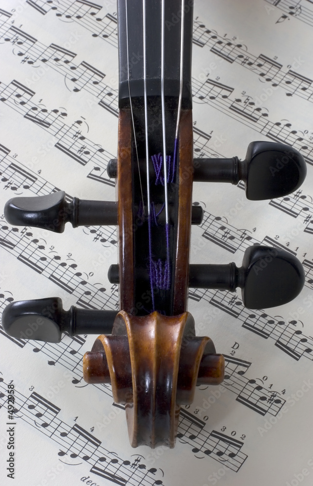 Naklejka premium violin and music