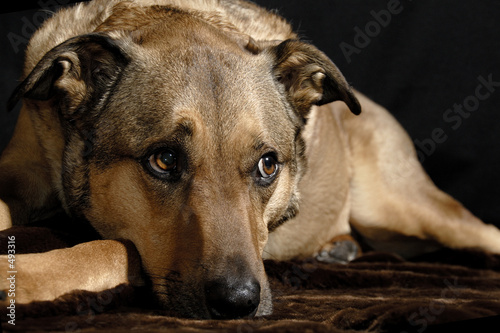 loving eyes