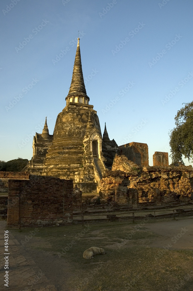 temple ruin, ayutthaya (thailand)