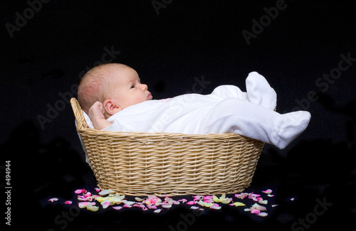 newborn baby in a basket with flower petals photo