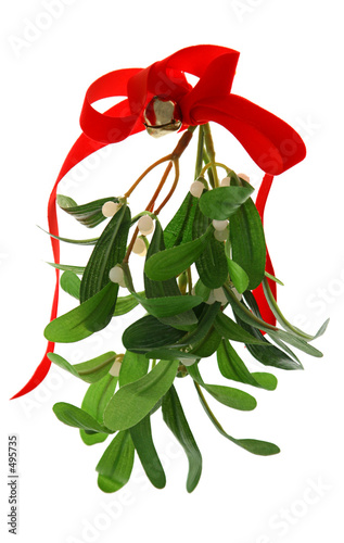 christmas mistletoe isolated