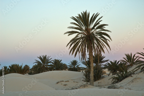crépuscule dans les dunes