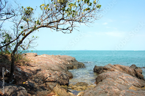 beach with big stones and a tree