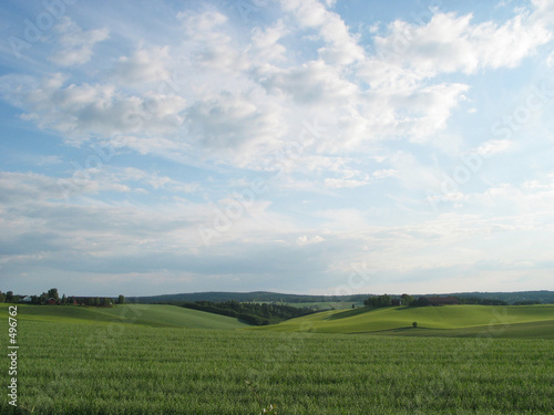 meadow landscape © Oleg Kozlov