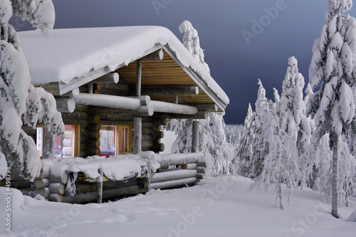 forest cottage © Oleg Kozlov