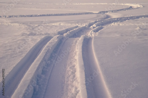 tracks on snow