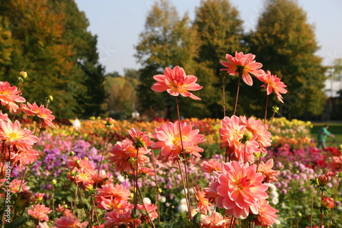 Tableau sur toile farben des herbstes