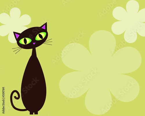 black cat on lime background