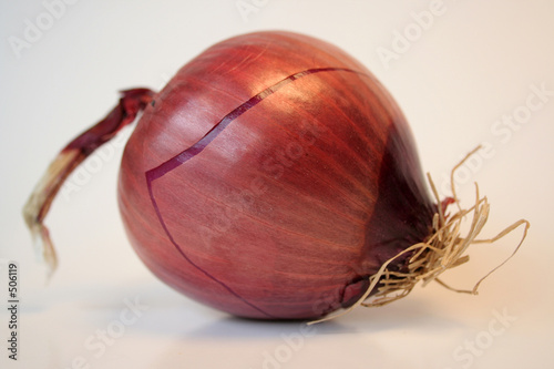 onion0