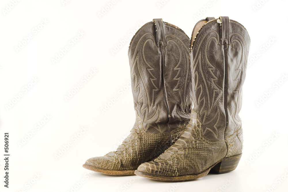 old snake skin boots old snake skin boots
