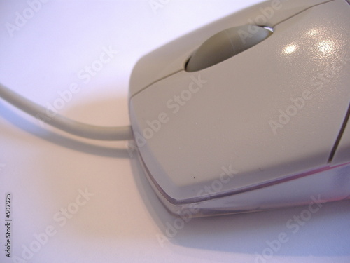 souris