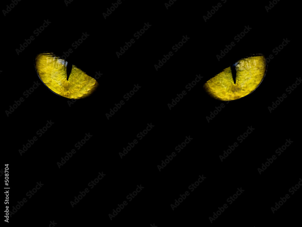 Εκτύπωση καμβά black cat with green eyes