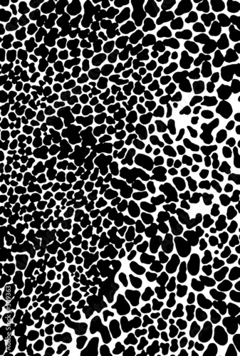 leopard skin